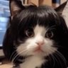 Becky's profile picture