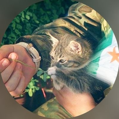 nzar_1986's profile picture