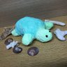 Фото профиля 月の使者かめろん🐢