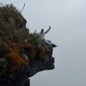 Santi's profile picture