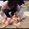 かおる 的头像