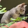 Fro profil fotoğrafı