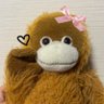 あいな's profile picture