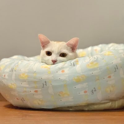 ppunqq's profile picture