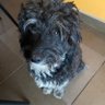 Robertitofdpxxxx profil fotoğrafı