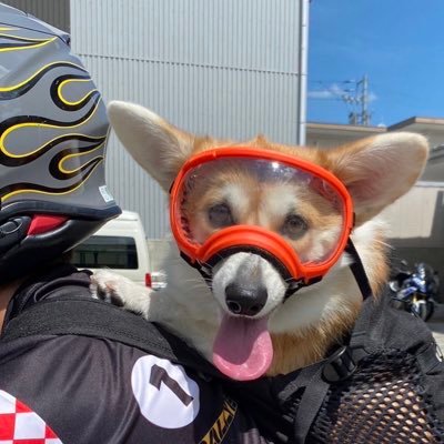 ITOKEN950SP's profile picture
