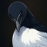 Profilbild von NullPixels🫀