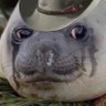Profilbild von SacredSeal