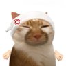 Nnh Y's profile picture