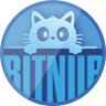 Bitnur AI profil fotoğrafı