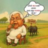 Profilbild von Jungle Raj ( चारा चोर چارہ چور)