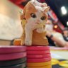 ワッキーレース 的头像