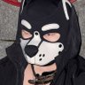 睡不醒的周一's profile picture