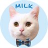 Profilbild von ミルク🐱🩵 Milk the cat