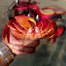 Mzh_Sumon profil fotoğrafı