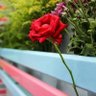 Фото профиля الواثق