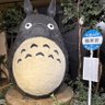 なかじん profil fotoğrafı