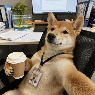 dajbjirouboy's profile picture