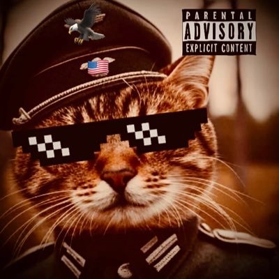 stillacat69's profile picture