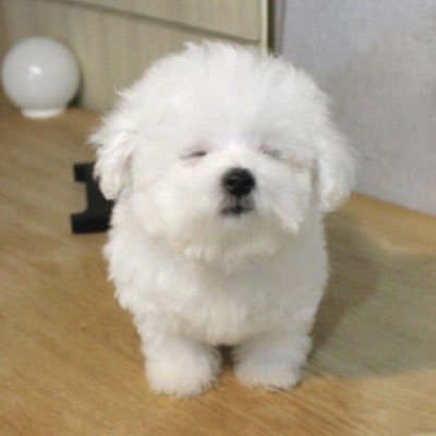 睡眠's profile picture