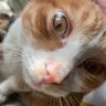 Jik Ann profil fotoğrafı