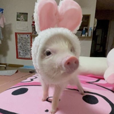 noodinge's profile picture