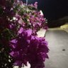 Фото профиля أبو عادل الزبيري