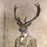 BigDeer profil fotoğrafı