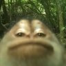 Profilbild von kaishi