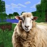 Profilbild von CCFOX