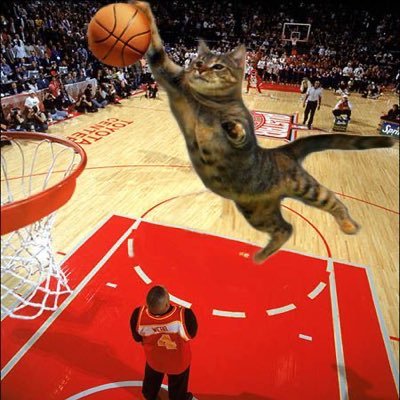 Sports Season's profile picture