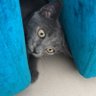 Фото профиля TOM
