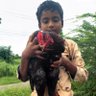 Harish's profile picture