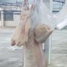 Фото профиля الحمدلله