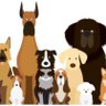 🦴🦋🐶🐾 的头像