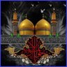 Фото профиля مرتضی امانی