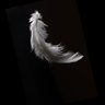 Ruth's profile picture