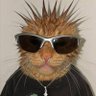 beatriz's profile picture