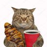 hugobecookin's profile picture