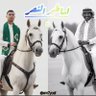 Фото профиля محمد الشمري (عالمي شمالي)