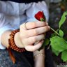 Profilbild von Soleil Noor_56