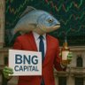 BNG Captiul 的头像