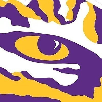 James LSU's profile picture