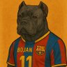 xasnuli's profile picture