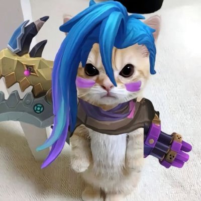 Eipols's profile picture