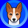 Basenji profil fotoğrafı
