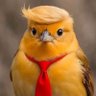 Profilbild von wallnote