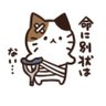 Фото профиля おじいちゃんじゃよ