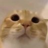 Tomskky profil fotoğrafı