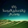 Profilbild von محمد يحي الفقيه
